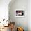 Rear View of a Boxer Punching a Punching Bag-null-Framed Premium Photographic Print displayed on a wall