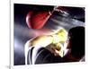 Rear View of a Boxer Punching a Punching Bag-null-Framed Photographic Print