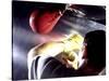 Rear View of a Boxer Punching a Punching Bag-null-Stretched Canvas