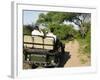 Rear View of a Group of Tourists in Jeep Looking at Elephant-Nosnibor137-Framed Photographic Print