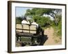 Rear View of a Group of Tourists in Jeep Looking at Elephant-Nosnibor137-Framed Photographic Print