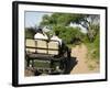 Rear View of a Group of Tourists in Jeep Looking at Elephant-Nosnibor137-Framed Photographic Print