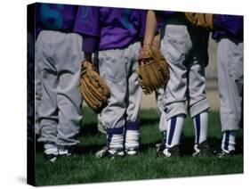 Rear View of a Little League Baseball Team Standing in a Row-null-Stretched Canvas