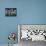 Rear View of a Little League Baseball Team Standing in a Row-null-Mounted Photographic Print displayed on a wall