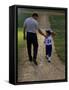 Rear View of a Man Walking with His Son at a Playing Field-null-Framed Stretched Canvas