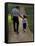 Rear View of a Man Walking with His Son at a Playing Field-null-Framed Stretched Canvas