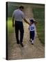Rear View of a Man Walking with His Son at a Playing Field-null-Stretched Canvas