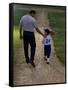 Rear View of a Man Walking with His Son at a Playing Field-null-Framed Stretched Canvas