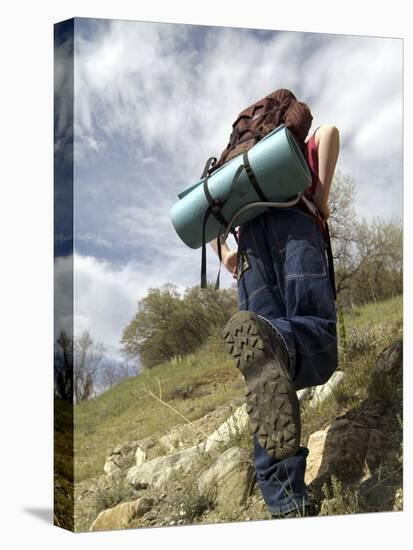 Rear View of a Person Hiking Up a Hill-null-Stretched Canvas