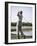 Rear View of a Senior Man Swinging a Golf Club-null-Framed Photographic Print