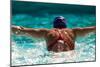 Rear view of a woman swimming the butterfly stroke in a swimming pool, Bainbridge Island, Washin...-Pete Saloutos-Mounted Photographic Print