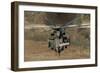 Rear View of an Israeli Air Force Ch-53 Yasur Helicopter-Stocktrek Images-Framed Photographic Print