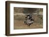 Rear View of an Israeli Air Force Ch-53 Yasur Helicopter-Stocktrek Images-Framed Photographic Print