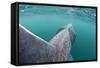 Rear View of Basking Shark (Cetorhinus Maximus) Feeding on Plankton, Inner Hebrides, Scotland, UK-Alex Mustard-Framed Stretched Canvas