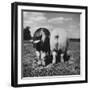 Rear View of Black Hog, with Overweight, White Hog, at Department of Agriculture Experiment Station-Al Fenn-Framed Photographic Print