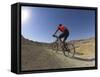 Rear View of Competitior in the Mount Sodom International Mountain Bike Race, Dead Sea Area, Israel-Eitan Simanor-Framed Stretched Canvas