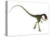 Rear View of Compsognathus Dinosaur-Stocktrek Images-Stretched Canvas