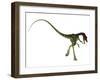 Rear View of Compsognathus Dinosaur-Stocktrek Images-Framed Art Print