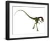 Rear View of Compsognathus Dinosaur-Stocktrek Images-Framed Art Print