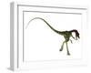 Rear View of Compsognathus Dinosaur-Stocktrek Images-Framed Art Print