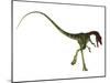 Rear View of Compsognathus Dinosaur-Stocktrek Images-Mounted Art Print