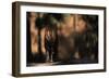 Rear View of Male Bengal Tiger Walking {Panthera Tigris Tigris} Kanha Np, India-Nick Garbutt-Framed Photographic Print