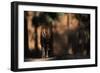 Rear View of Male Bengal Tiger Walking {Panthera Tigris Tigris} Kanha Np, India-Nick Garbutt-Framed Photographic Print