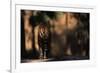 Rear View of Male Bengal Tiger Walking {Panthera Tigris Tigris} Kanha Np, India-Nick Garbutt-Framed Photographic Print