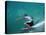 Rear View of Man Surfing-null-Stretched Canvas