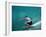 Rear View of Man Surfing-null-Framed Photographic Print