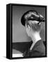 Rear View of Model in Hat W Veil and Bow at Back over Upswept Hair-Alfred Eisenstaedt-Framed Stretched Canvas