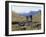 Rear View of Two Women Hiking-null-Framed Photographic Print