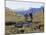 Rear View of Two Women Hiking-null-Mounted Photographic Print