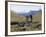 Rear View of Two Women Hiking-null-Framed Photographic Print