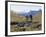 Rear View of Two Women Hiking-null-Framed Photographic Print