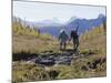 Rear View of Two Women Hiking-null-Mounted Photographic Print
