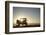 Rear View of Young Couple in Pick-Up Truck Parked in Front of Ocean Enjoying Sunset-Nosnibor137-Framed Photographic Print