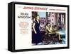 Rear Window, Grace Kelly, James Stewart, 1954-null-Framed Stretched Canvas