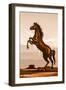 Rearing Horse Illustration-duallogic-Framed Art Print