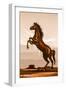 Rearing Horse Illustration-duallogic-Framed Art Print