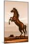 Rearing Horse Illustration-duallogic-Mounted Art Print