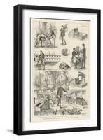 Rearing Pheasants, Sketches at the Duke of Norfolk's Pheasantry at Angmering Park, Sussex-null-Framed Giclee Print