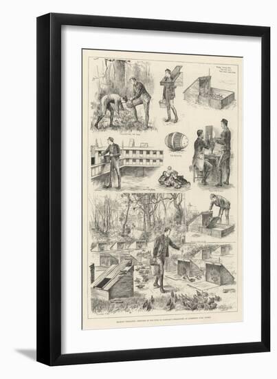 Rearing Pheasants, Sketches at the Duke of Norfolk's Pheasantry at Angmering Park, Sussex-null-Framed Giclee Print