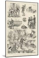 Rearing Pheasants, Sketches at the Duke of Norfolk's Pheasantry at Angmering Park, Sussex-null-Mounted Giclee Print