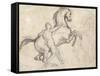 Rearing Stallion Held by a Nude Man-Théodore Géricault-Framed Stretched Canvas