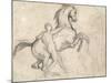 Rearing Stallion Held by a Nude Man-Théodore Géricault-Mounted Giclee Print