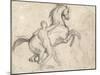 Rearing Stallion Held by a Nude Man-Théodore Géricault-Mounted Giclee Print