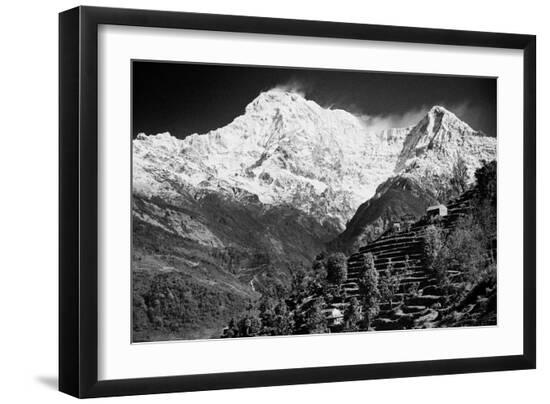 Premium Photographic Print, , large