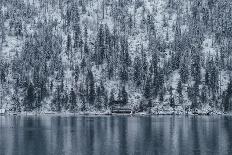 Snow Fall In Coeur D'Alene Idaho-Rebecca Gaal-Photographic Print