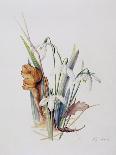 Hygrocybe, 2000-Rebecca John-Giclee Print